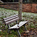 Bench, beer bottle, tree and wall at Rochlitz