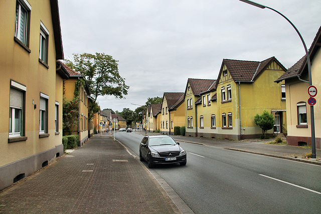 Carl-Duisberg-Straße (Marl-Hüls) / 27.08.2022