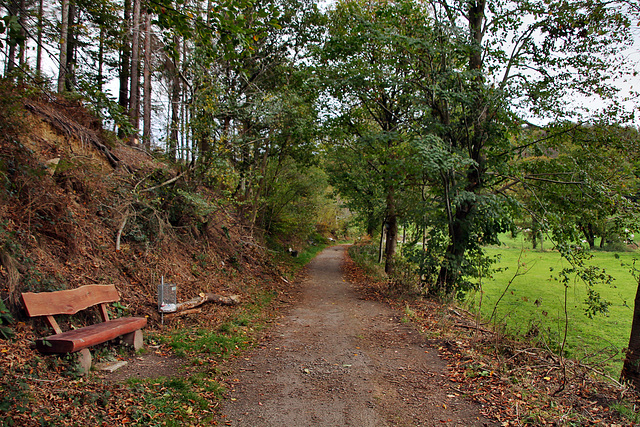 Wanderweg am Felderbach (Hattingen) / 6.11.2022