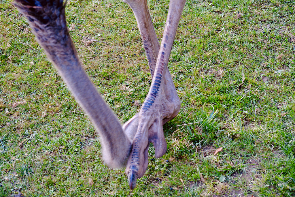 ...sometimes you have to scratch your head...
