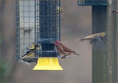 The lurid new station The lurid new station