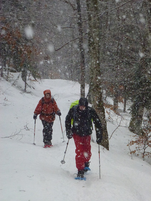 20150221 Raquettes Vercors Col de la Machine (21) al