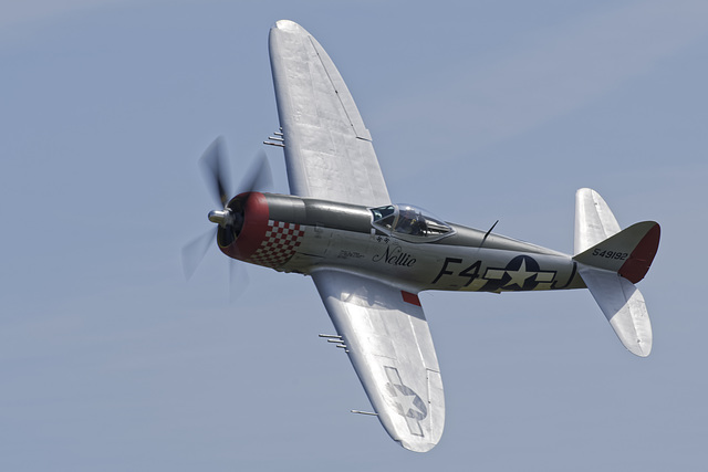 P-47D Thunderbolt 'Nellie' (d)