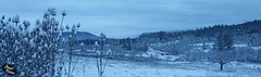 Pictures for Pam, Day 94: Snowy Panorama