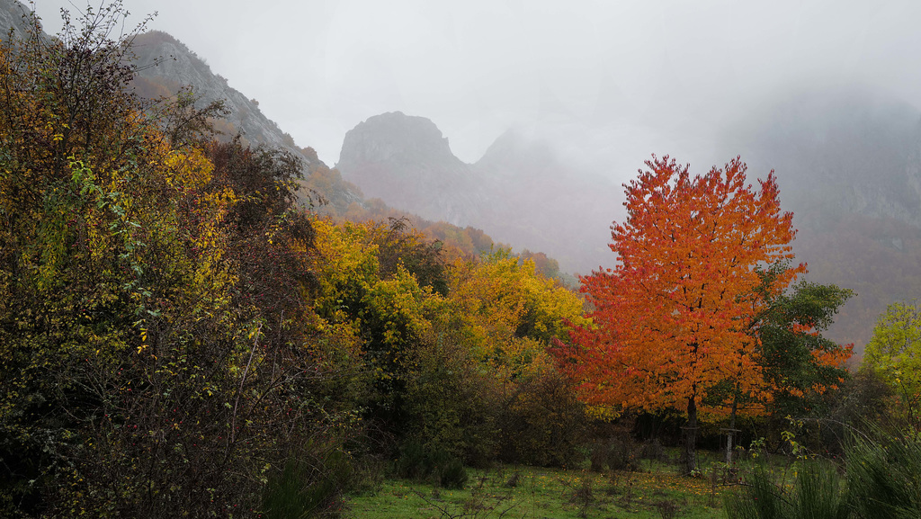 Picos de Europa, Riaño