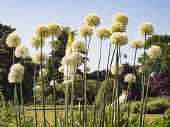 Levengrove Park