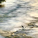 Water 5