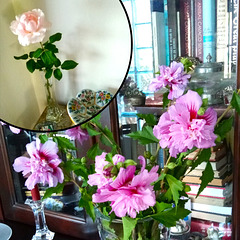 Floral arrangements
