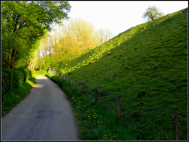 Green Carpet