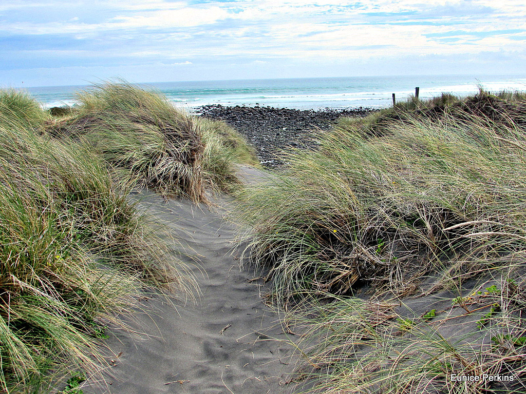 Surf Beach