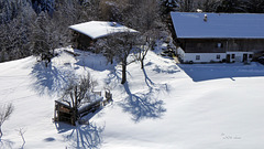 Bauernhof am Erlerberg Bauernhof am Erlerberg