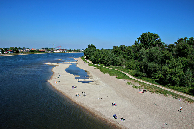 Am blauen Rhein