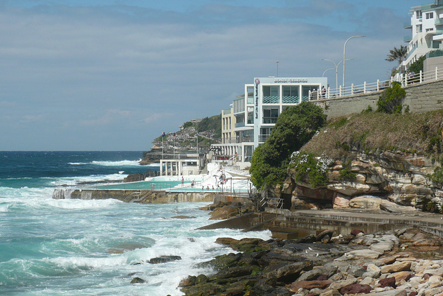 Bondi Icebergs