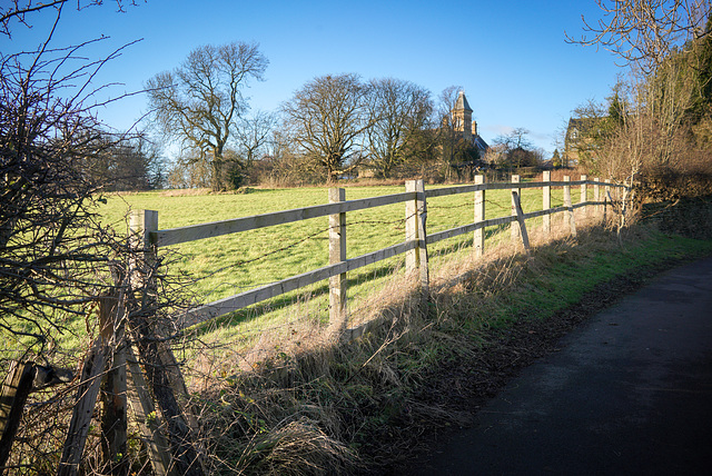 A ''Happy fence Friday'' to all -  from > Dj... the same place 'P.i.p' - same fence - with sunshine !