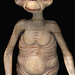 Je viens de me rendre compte que E.T. n'avait pas de zizi !  ....