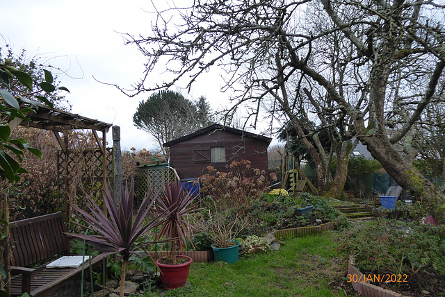 jardin en hiver -fin-