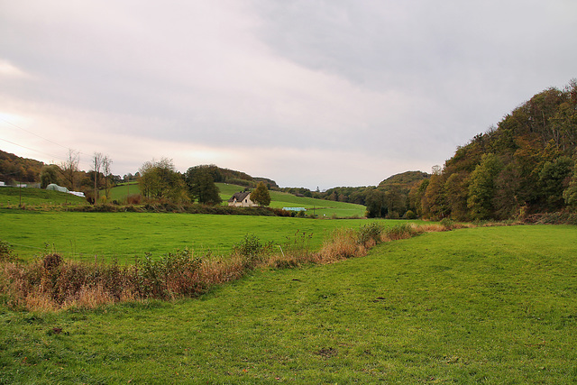 Landschaft im Felderbachtal (Hattingen) / 6.11.2022