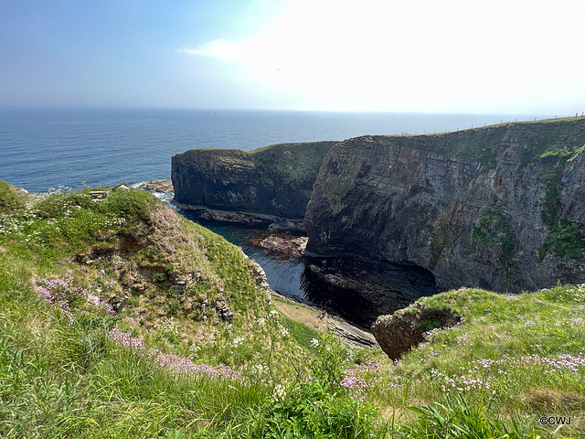 Whaligoe Haven