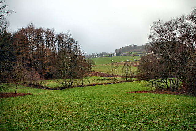Landschaft im Paasbachtal (Hattingen-Niederstüter) / 24.12.2017