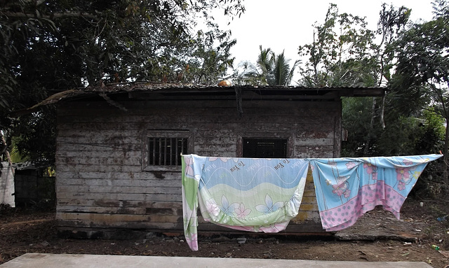 Drying wishes to you (Panama)