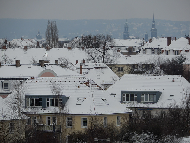 Dresdens Dächer im Schnee