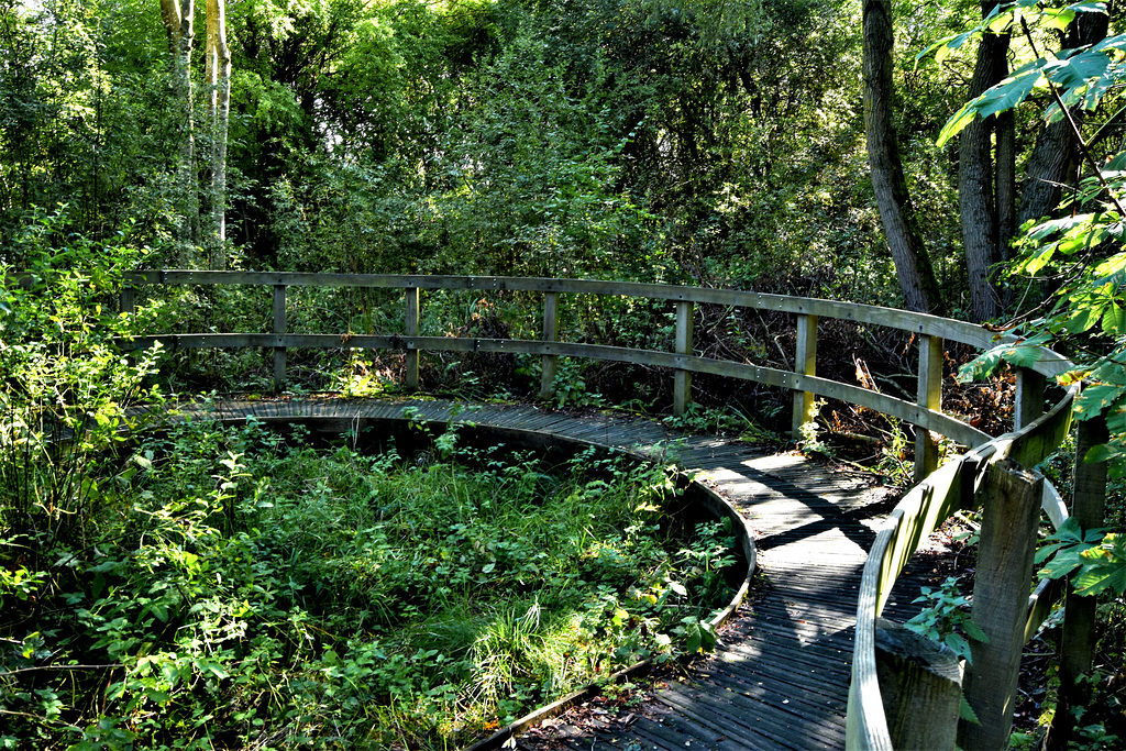 Fence around a curved path