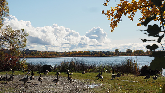 Dragon Lake