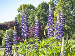 Levengrove Park