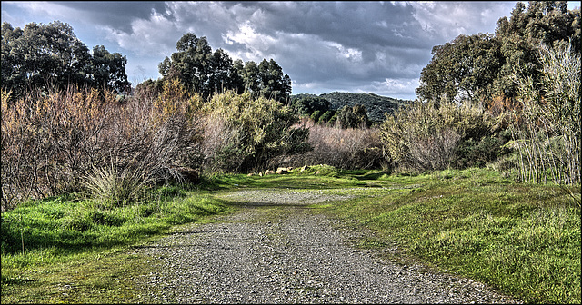 Valle del Guadiaro