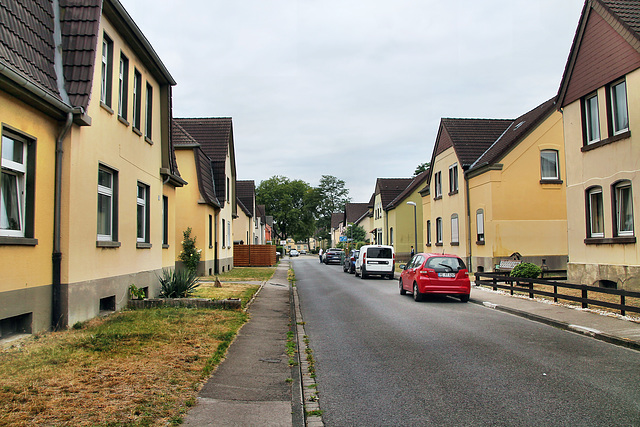 Heidestraße (Marl-Hüls) / 27.08.2022