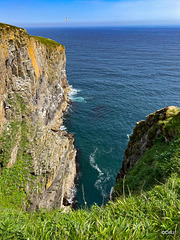 Whaligoe cliffs
