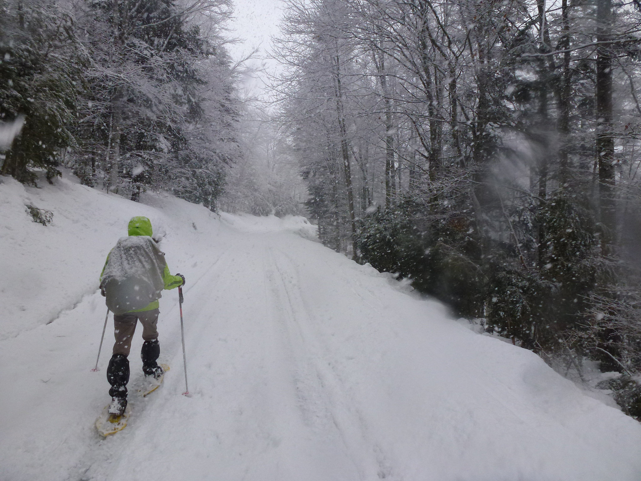 20150221 Raquettes Vercors Col de la Machine (24) al