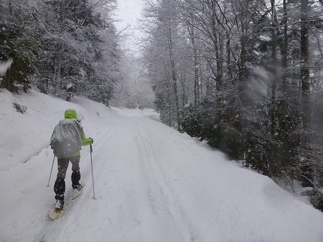 20150221 Raquettes Vercors Col de la Machine (24) al