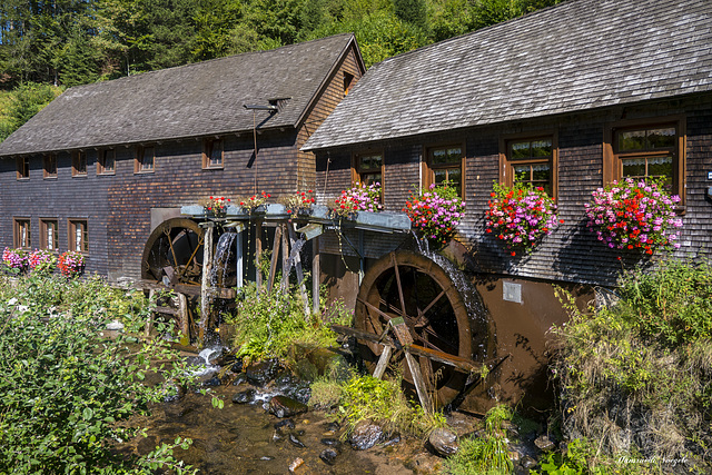 Hexenloch Mühle 7