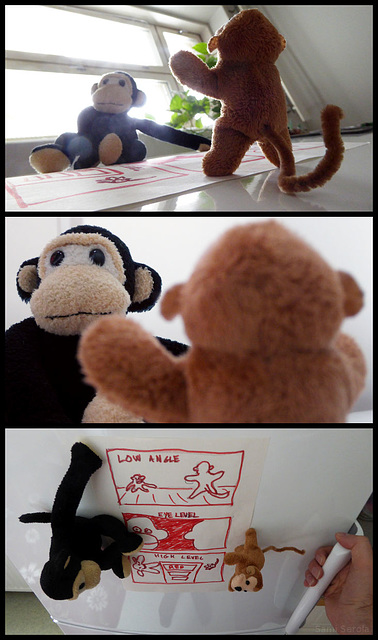 Monkey business: Point of view