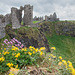 Dunluce Castle - processed