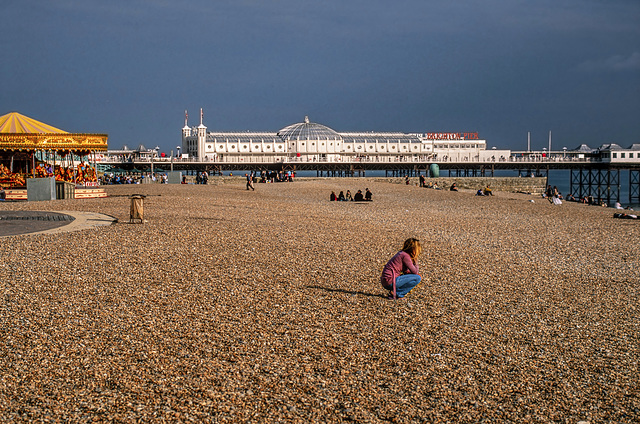 Brighton Seashore
