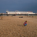 Brighton Seashore