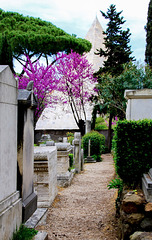 Rome - Cimitero Acattolico - Protestantischer Friedhof