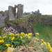 Dunluce Castle - original