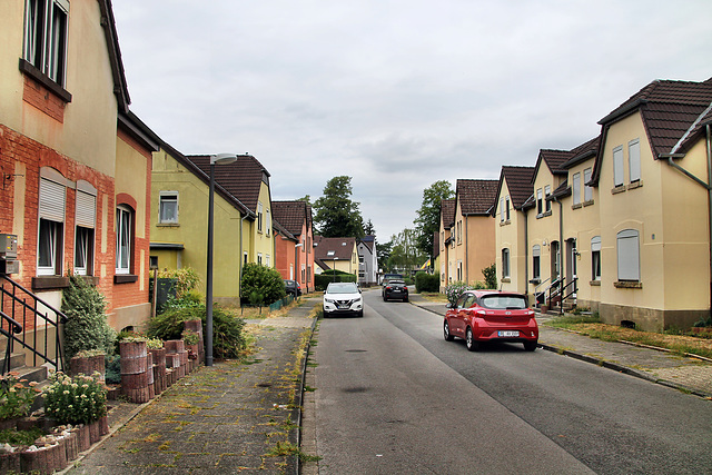 Birkenstraße (Marl-Hüls) / 27.08.2022