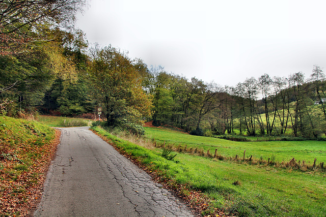 Kreßsieper Weg (Sprockhövel) / 6.11.2022