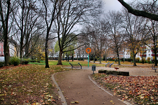 Blücherpark (Dortmund-Innenstadt-Nord) / 3.12.2022