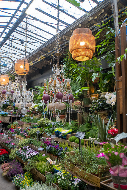 Marché aux fleurs - Ile de la Cité, Paris