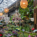 Marché aux fleurs - Ile de la Cité, Paris