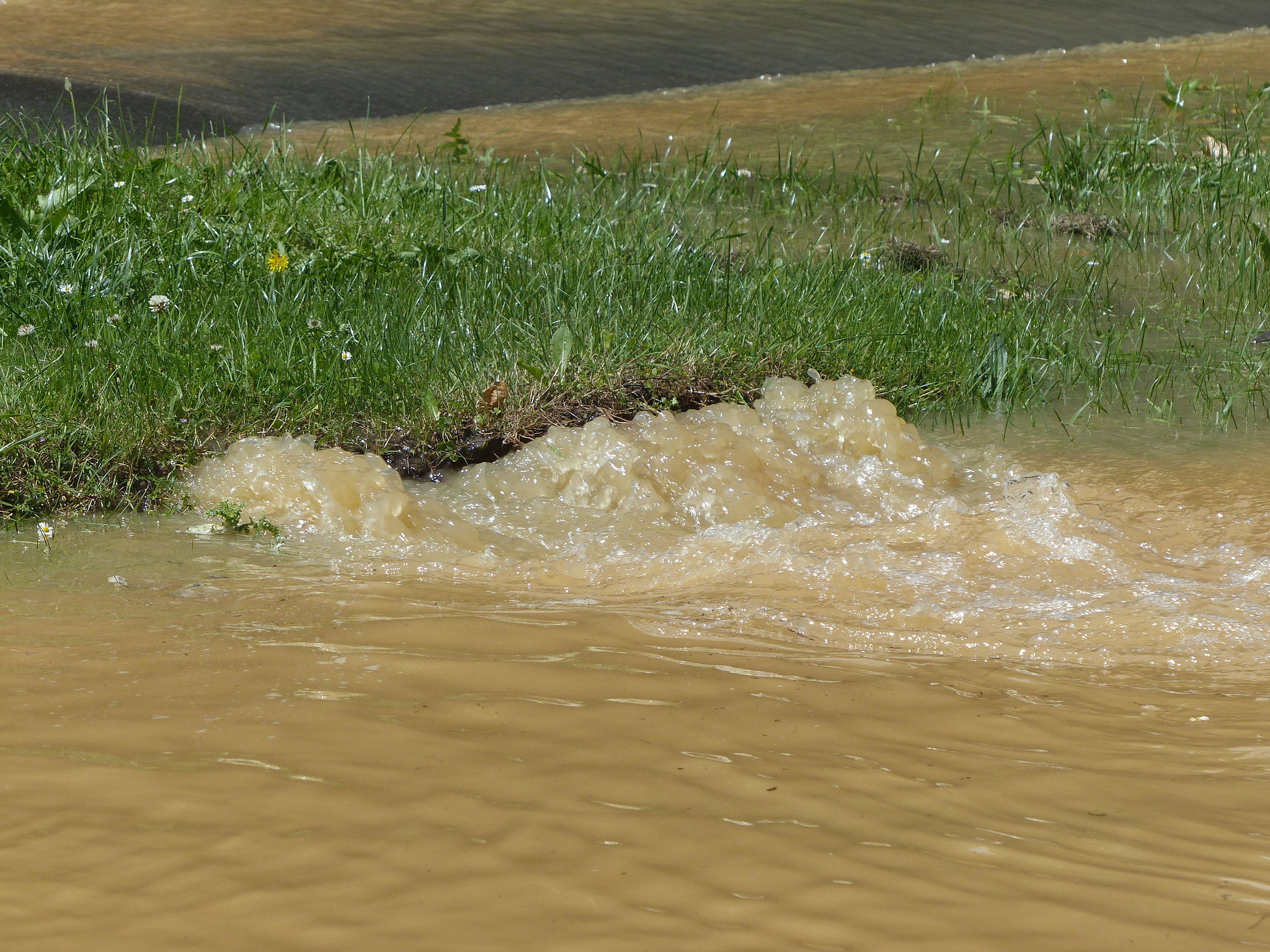 Water, Water (3) - 4 June 2017