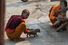 beim Shwe-Yan-Pyay-Kloster und dem Shwe Yaunghwe Kyaung Tempel (© Buelipix)