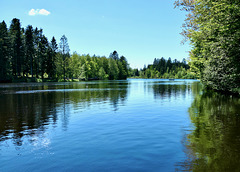 Der Waldsee (M00rsee) bei Lindenberg im Allgäu