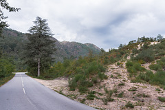 unterwegs auf der N308-1 ... P.i.P.  (© Buelipix)