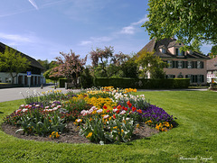 Im Katerienental bei Diesenhofen